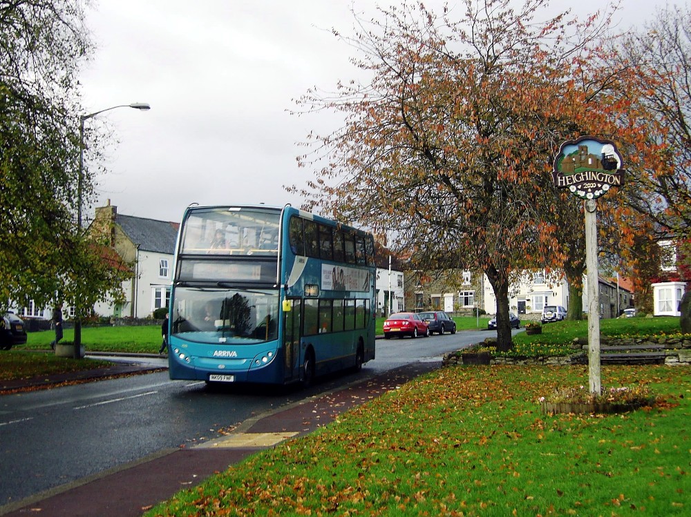 Spottings & Jottings